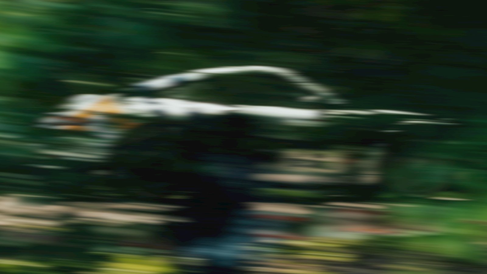 A racing car at speed, blurred into streaks by motion.